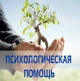 ������� ���������� ��������������� ������ 8 831 255-92-80